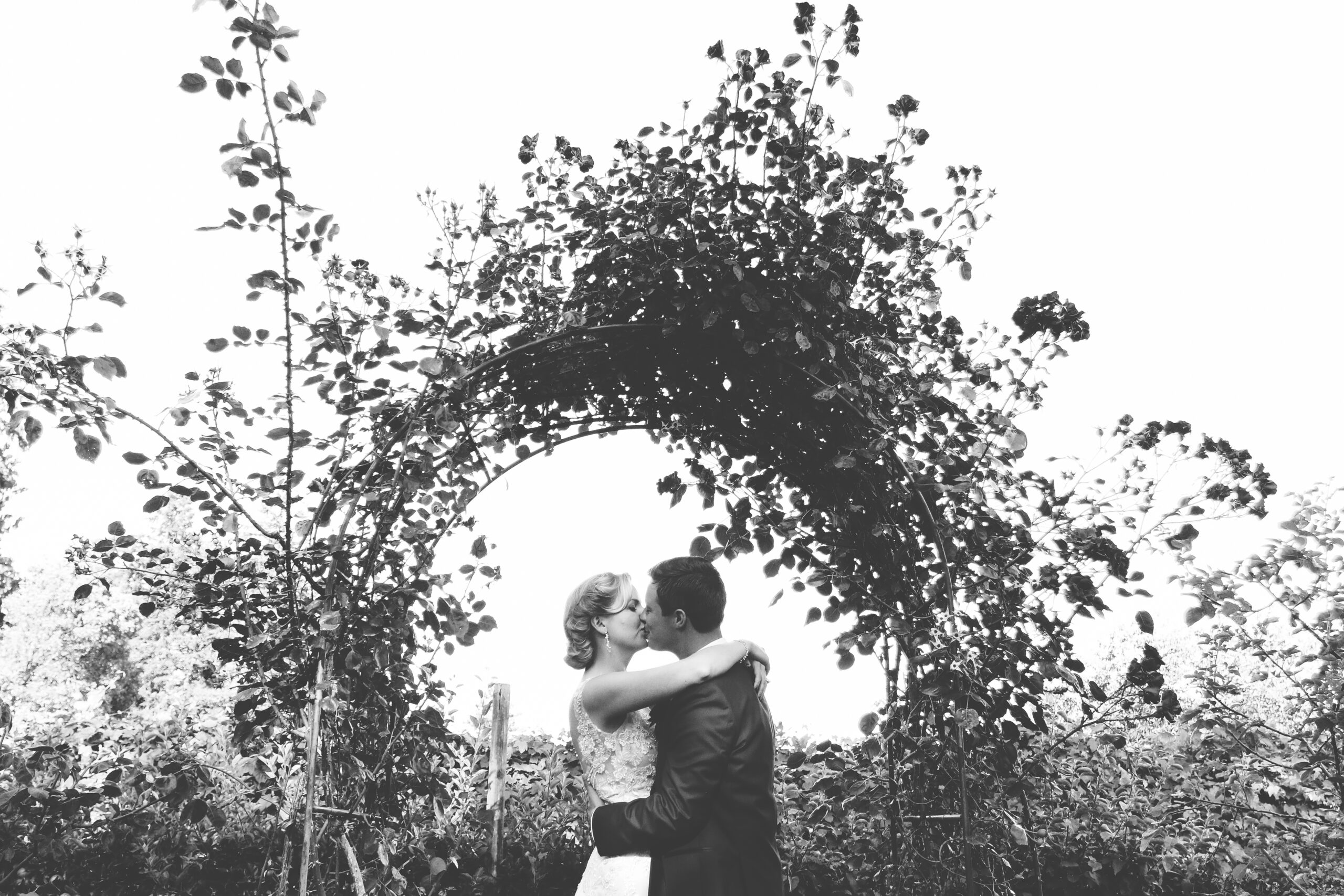 July 15-2015 AM Wedding 3264
